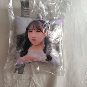 FRUITS ZIPPER ラッフル 松本かれん クッションキーホルダー