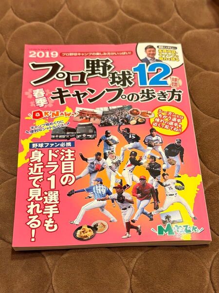プロ野球12球団春季キャンプの歩き方 2019