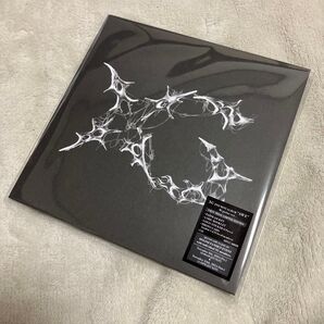 XG AWE Regular ver. CD未使用未再生 ステッカーあり
