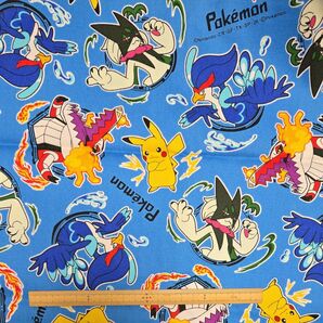 生地 ポケットモンスター ピカチュウ