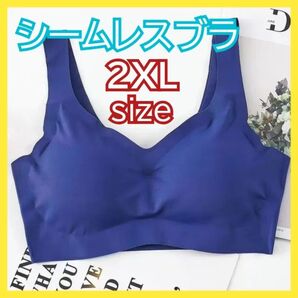2xl シームレス ブルー ナイトブラ ノンワイヤー レディース