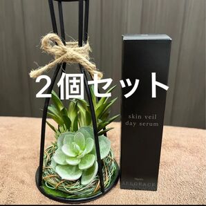 ナリス★セルグレース ★デイセラム★2個セット