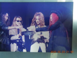 YOSHIKI Toshl TOSHI HIDE PATA ① 写真 ブロマイド / X JAPAN