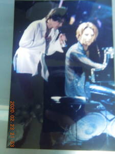 YOSHIKI Toshl TOSHI 写真 ブロマイド 31 / X JAPAN すみれ組