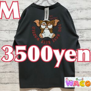 グレムリン ギズモ モグワイ Tシャツ 半袖 サガラ刺繍 メンズ 洋服
