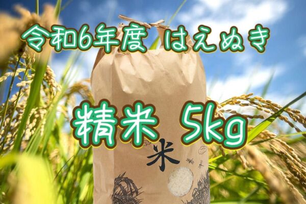 はえぬき 精米 5kg 山形県産