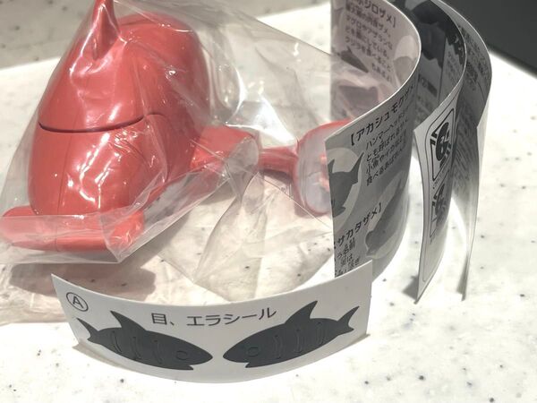アカシュモクザメ サメジャー ぱくもぐ!サメジャー ~ジンベエザメがやってきた!~ サメ 鮫 さめ メジャー