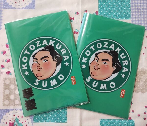 相撲 琴櫻 クリアファイル2枚セット 新品未開封 佐渡ヶ嶽部屋