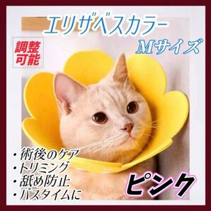 引っ掻き防止 Sサイズ Mサイズ ピンク イエロー オレンジ調節可能