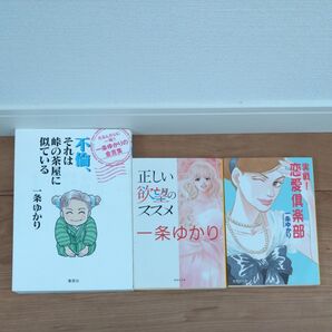 一条ゆかり 不倫、それは峠の茶屋に似ている たるんだ心に一喝!!一条ゆかりの金言集 他 3冊セット