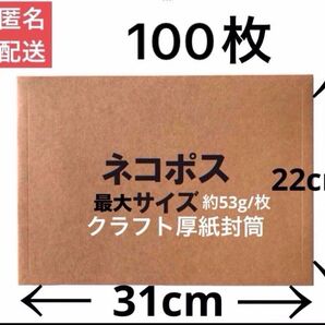 宅配レターケース クラフト紙厚紙封筒 ネコポス最大 厚手タイプ 100枚