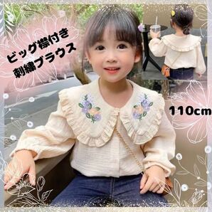 襟刺繍 花柄 春服 キッズ 110cm 女の子 発表会 式典 可愛い 韓国