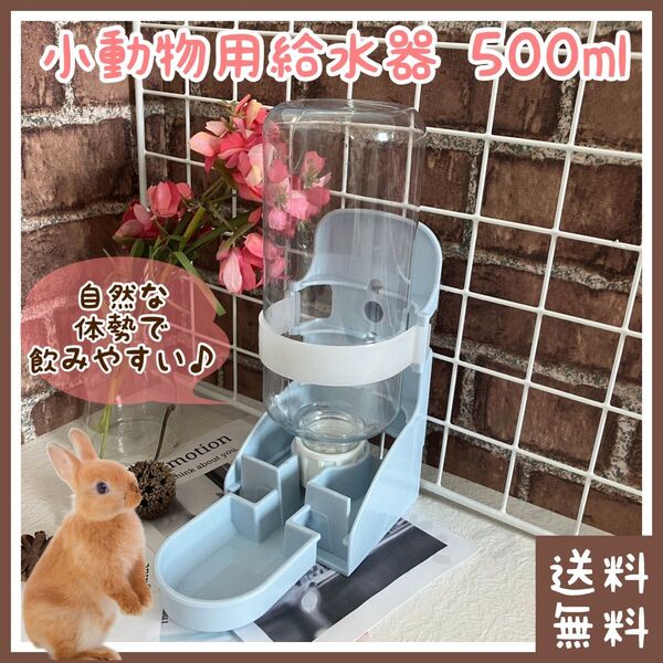 小動物 給水器 500ml 皿型(■給水ボトル・給水機・水入れ・水飲み・飲水■水分補給■うさぎなどに■ネザーランドドワーフ)