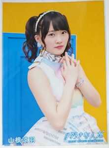 AKB48 #好きなんだ 通常盤封入特典生写真 山根涼羽 Showroom選抜