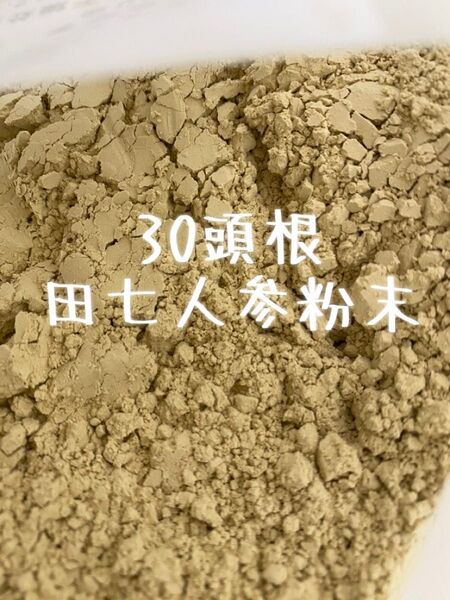雲南省産田七人参粉末30頭根 100g 三七人参 パウダー無添加 原料そのまま サポニン 三七人参 雲南省文山産 厳選天然栽培