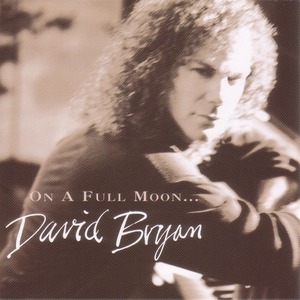 ◇'94国内廃盤◇ David Bryan - On A Full Moon...