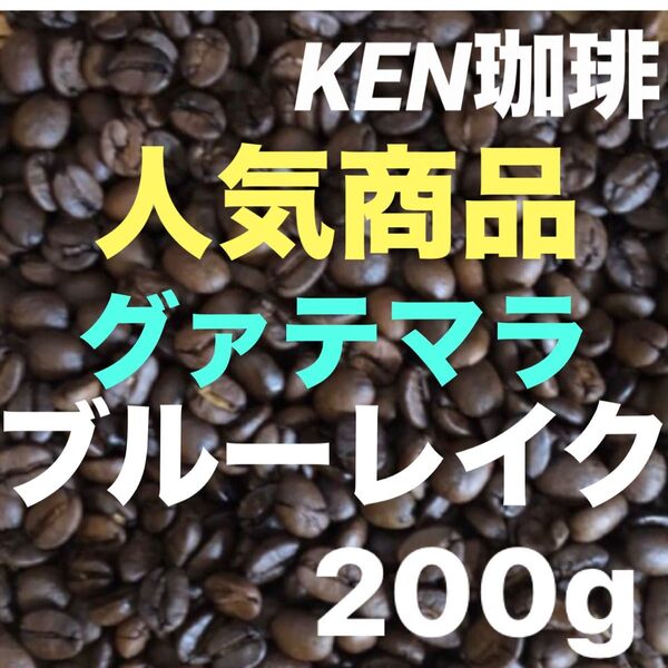 自家焙煎コーヒー 人気商品 ブルーレイク グァテマラ産 200g 注文後焙煎 KEN珈琲