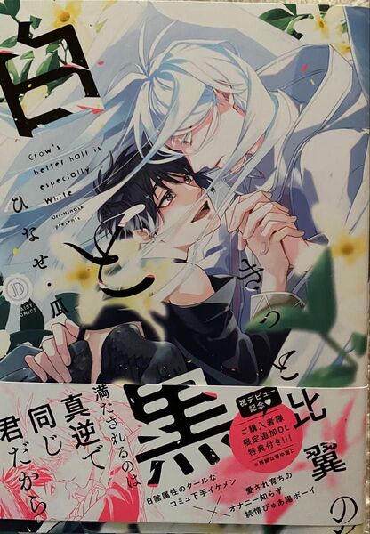 きっと比翼の白と黒/ ひなせ