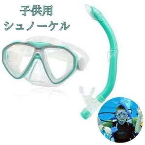 シュノーケル セット 子供用 簡単ストラップ調整 6-15歳