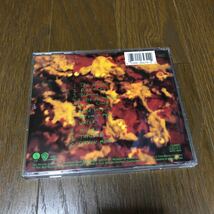 Dinosaur Jr Green Mind USA盤CD_画像2