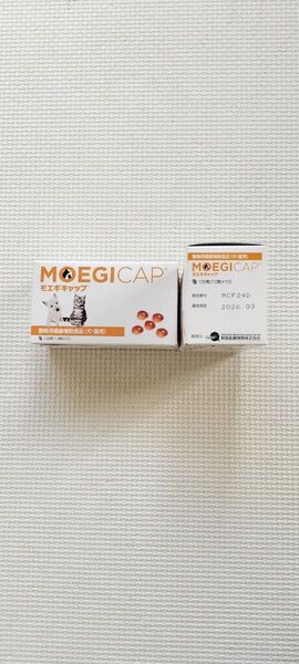 共立製薬 モエギキャップ 100粒 黄色透明 カプセル 2つ