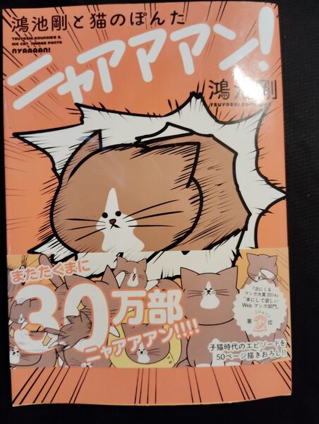 鴻池剛と猫のぽんたニャアアアン! 鴻池剛/著