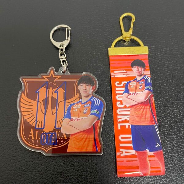 アルビレックス新潟 太田修介 キーホルダー 2種セット