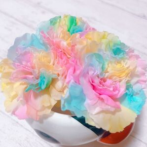 カーネーションプリザーブドレインボーカラー加工☆