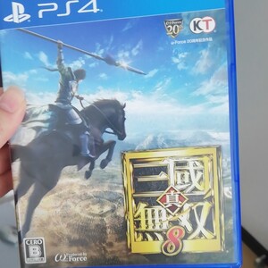 真・三國無双8