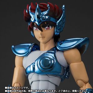 新品未開封 聖闘士聖衣神話 ペガサス星矢 (初期青銅聖衣) 原作版 TAMASHII NATION 2023 限定品