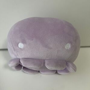 くらげ クラゲ ぬいぐるみ ガチャ 新江ノ島水族