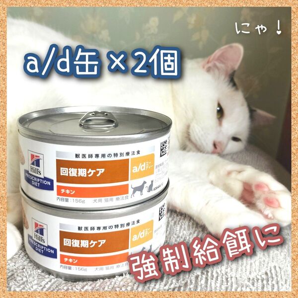 a/d缶 ad缶 ヒルズ 回復期 ×2缶