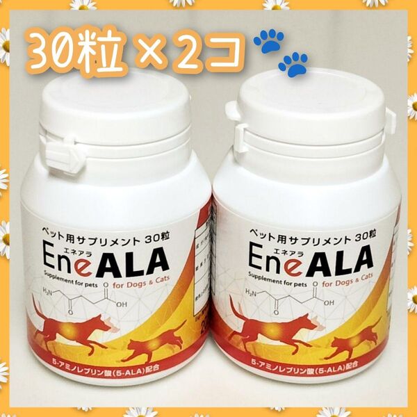 エネアラ EneALA 犬猫用 30粒×2