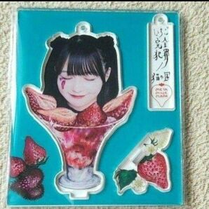 【タワレコ新宿限定】 iLife 那蘭のどか アクスタ