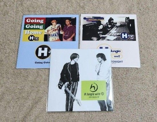 【アナログ】 H Jungle With T レコード セット