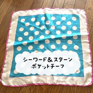 高島屋購入 シーワード&スターン ポケットチーフ