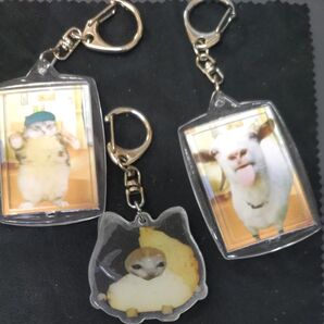 今tiktokやX(旧Twitter)で大バズり中ハッピー猫などで有名な、ミーム猫のアクリルキーホルダー