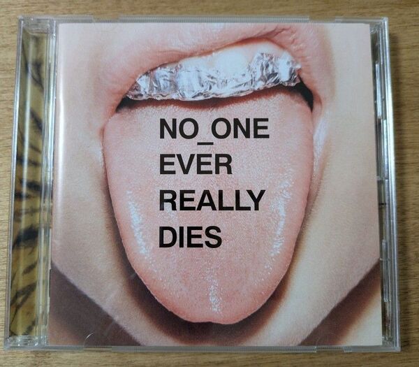 No_One Ever Really Dies / N.E.R.D 国内盤