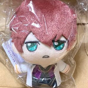 魔法使いの約束 まほやく ミスラ きらどる ぬいぐるみ