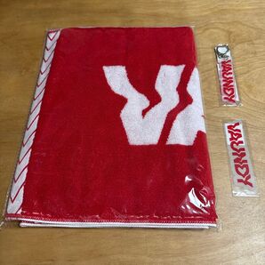 VAUNDYさん グッズ3点セット バラ売り不可