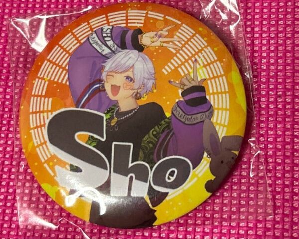 いれいす 缶バッジ ブチアゲ 初兎