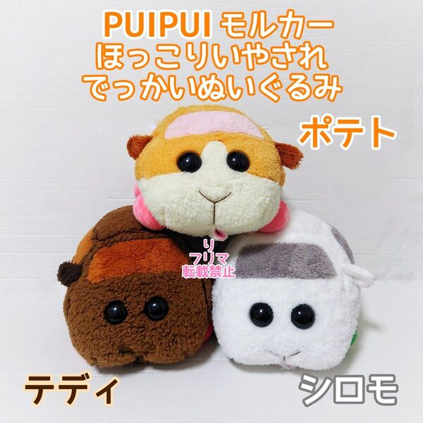 PUIPUIモルカー モルカー ぬいぐるみ でっかいぬいぐるみ ポテト シロモ テディ 3体セット