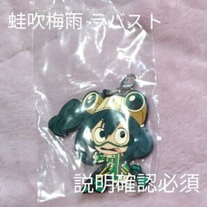 【説明確認必須!】ヒロアカ 蛙吹梅雨 きゅんキャラ ラバスト