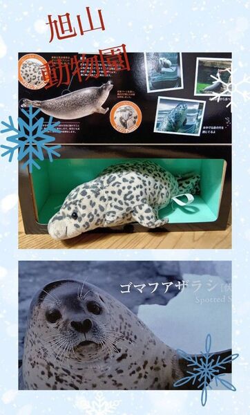 ◆推しクーポン賢く利用【新品正規品】◆旭山動物園◆ゴマフアザラシ 旭山ZOO公式 ◆人気ゴマちゃんぬいぐるみ定価3190円