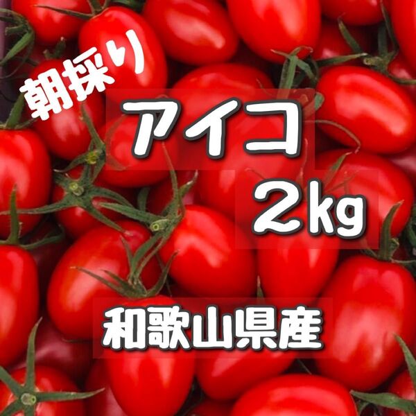 和歌山県産ミニトマトアイコ
