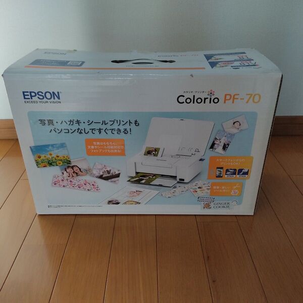 未使用 エプソン プリンター PF-70