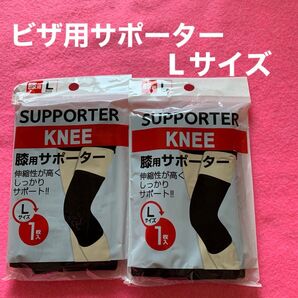 Lサイズのビザ用Lサイズのサポーターです