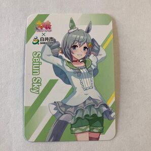 白井市 セイウンスカイ カード