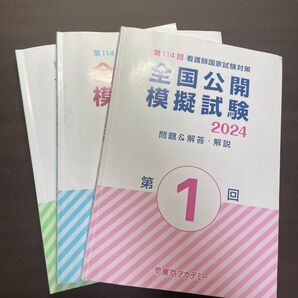 東京アカデミー 全国公開模試2024①〜③ 解答解説集