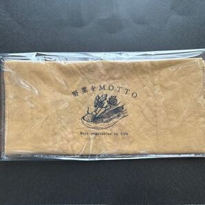【値下げ中】野菜をMOTTO さらさらレッド玉ねぎ染めバッグ 800円→690円